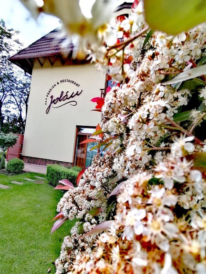 Jolán Pension&Restaurant Cicov Esterno foto