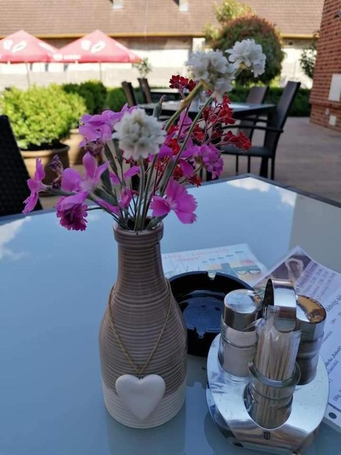 Jolán Pension&Restaurant Cicov Esterno foto