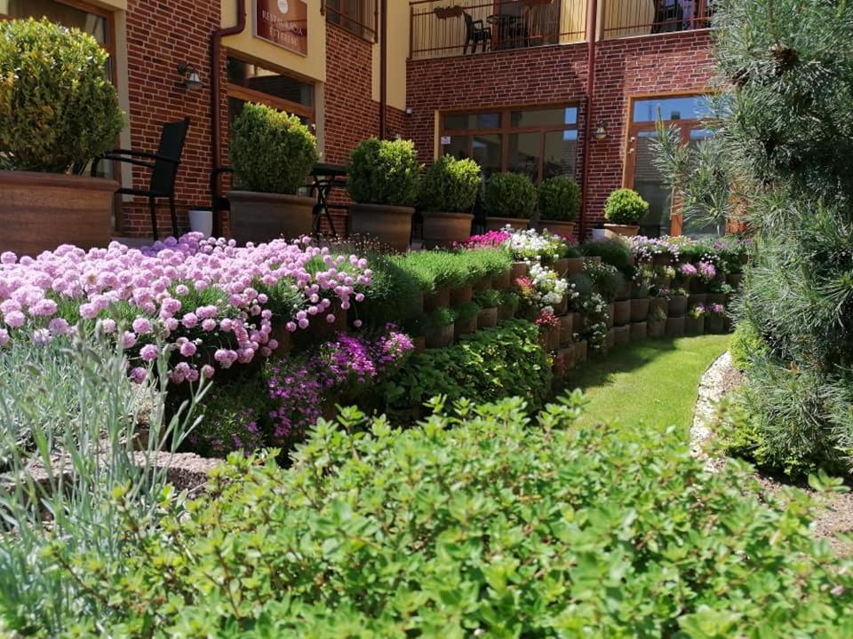 Jolán Pension&Restaurant Cicov Esterno foto